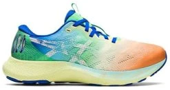 Asics Men's Gel-Nimbus Lite 2