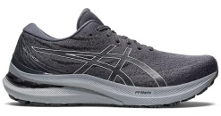 Asics Men's Gel-Kayano 29