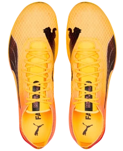 PUMA Unisex EvoSPEED Distance Nitro Elite+ 2 8 PUMA Unisex EvoSPEED Distance Nitro Elite+ 2 -HOKA SHOP Screenshot2022 12 30134559 Edited